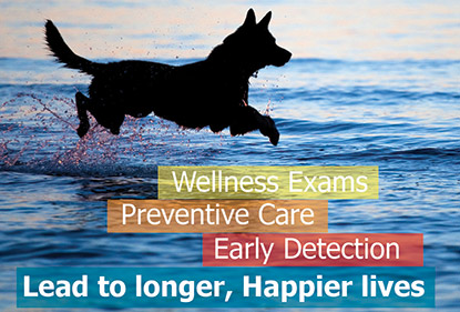 Wellness Exams, Preventitive Care, Early Detection, Lead to Longer Happier Lives