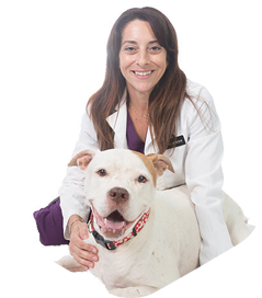 Cristina Miliaresis DVM