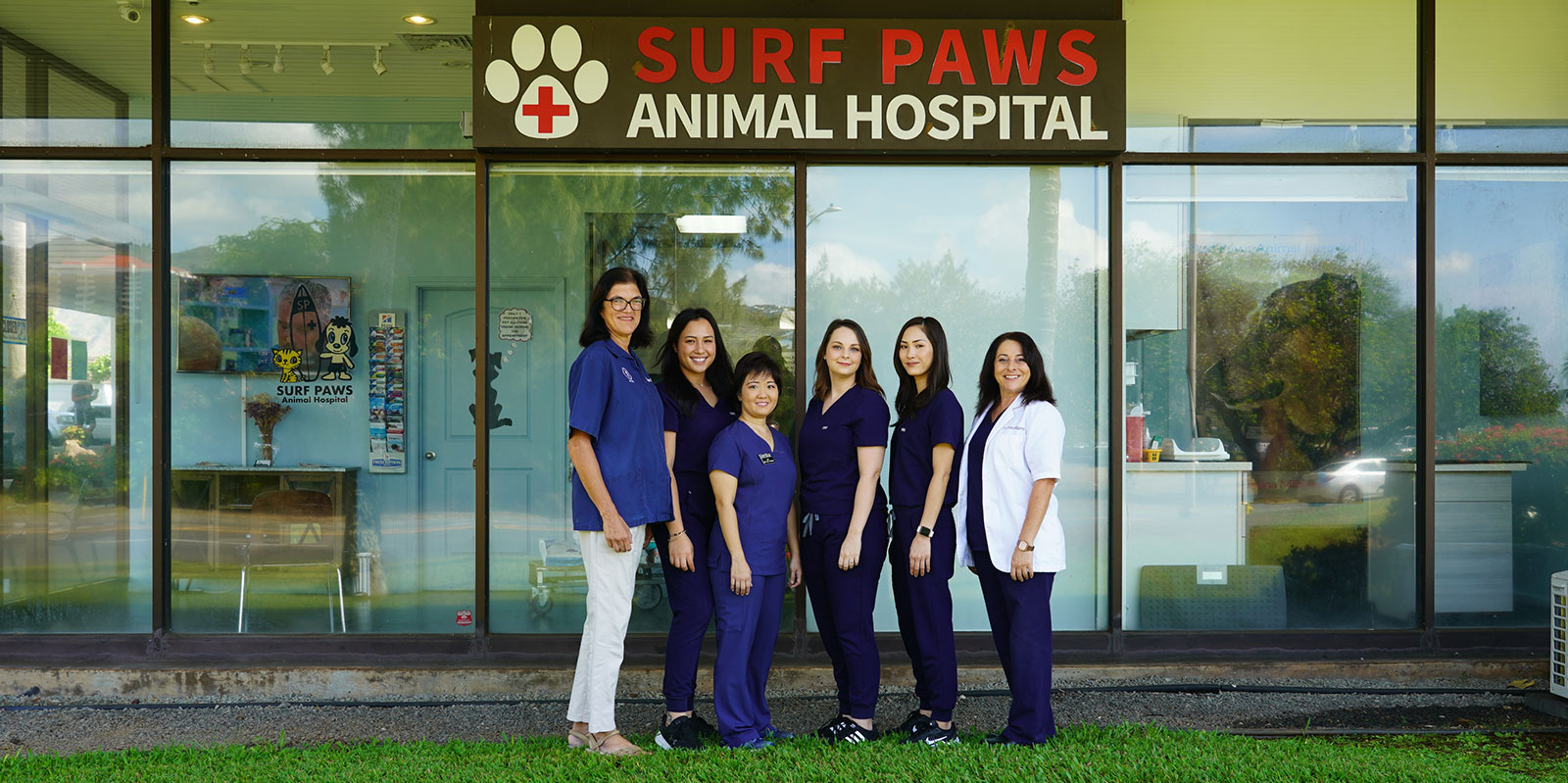 Surf Paws Animal Hospital – Keeping Your Pets Healthy and Active